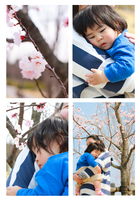 ファミリーフォト　公園　ロケーション撮影　家族写真　子供写真　出張撮影　モリコロパーク（愛知県長久手市）