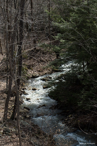 mountain nature water creek river outdoors waterfall spring woods stream brook somersetcounty laurelhighlands