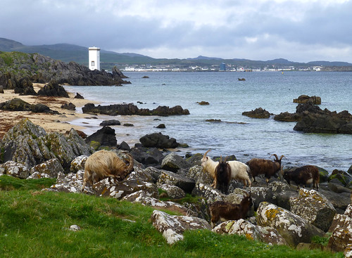 scotland argyllandbute isleofislay islay portellen lighthouse goats rocks coast singingsands worldtrekker island