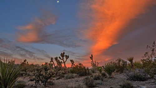 arizona dolansprings unitedstates usa clouds sunrise desert