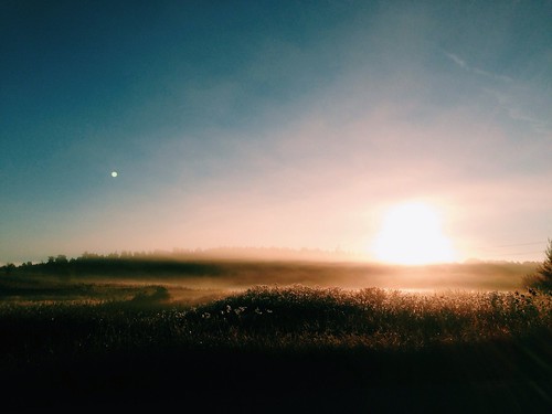 morning fog sunrise