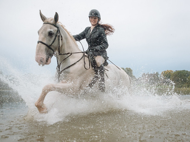 Clippity Clop Splishy Splashy - Horse Running Though Water