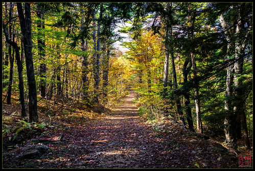 westminster unitedstates massachusetts bob hike foliage fall2013