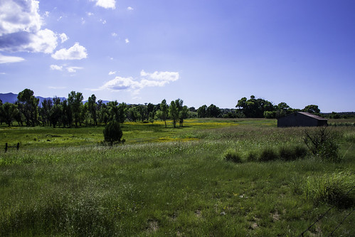 arizona usa farm pasture wildflowers