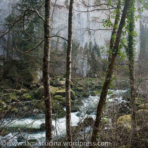 Doubs (1) Biaufond 2014 03 12_3465