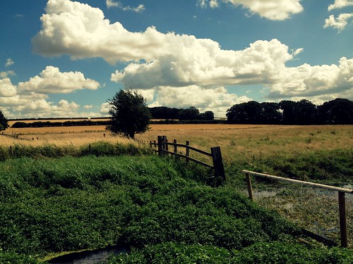 uk summer countryside day norfolk pwpartlycloudy