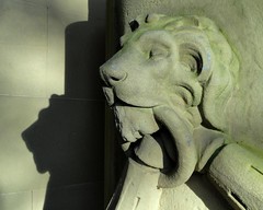 Shadow of a Lion, Saltaire