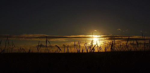 england sky sun grass clouds sunrise golden coast sony east alpha a77 saltfleet