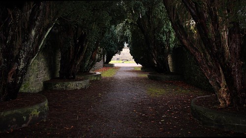 trees ireland church dark path cogalway yew avenue tuam canoneos600d