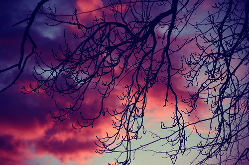ireland sunset tree clouds nikon tipperary clonmel nikond7000