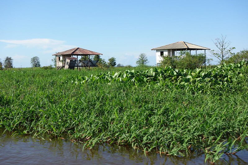 Encontro das águas do Rio Amazonas e do Rio Tapajós em Santarém, Pará Brasil