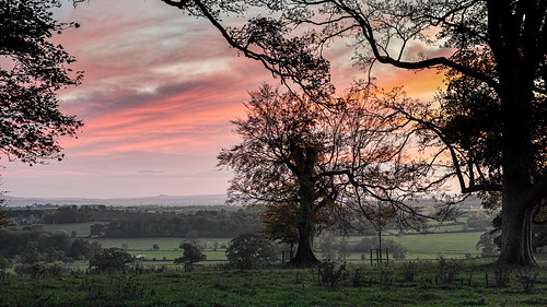 landscape sigma wiltshire oxfordshire merrill foveon dp3 abigfave dp3m