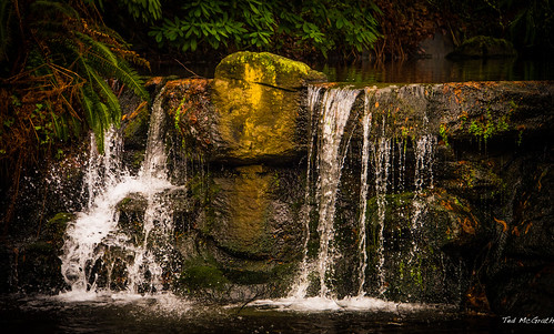 park water vancouver forest waterfall rocks stream stanleypark vignetting vancouverbc vancouvercity cans2s simplysuperb tedsphotos