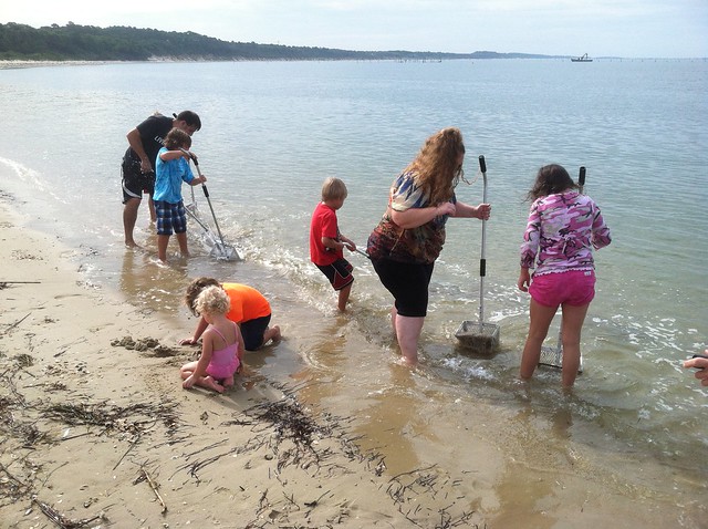 Beat the heat with fishing, clamming and water educational programs at Kiptopeke State Park