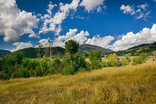 green rural canon landscape montana view 60d
