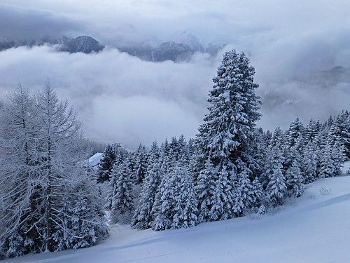 trees winter snow clouds geotagged day winterwonderland geo:lat=4705418611 geo:lon=1059209444