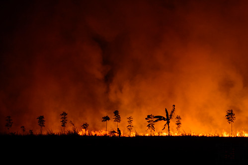 red orange man field night dark fire smoke burn farmer phl sugarcane philippinen negrosoriental ibulan