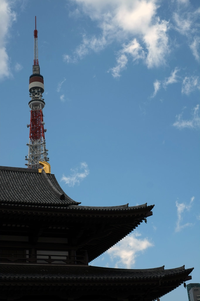 Obscured view of the Tokyo Tower