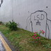 LSD Grafitti near Liuxiandong, Shenzhen, China