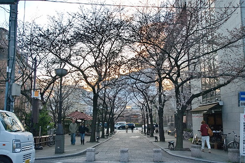 【写真】2013 桜 : 祇園白川/2021-01-19/IMGP8752