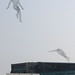 Swimmer and jumper wire sculptures, Gachon University, Seongnam, South Korea
