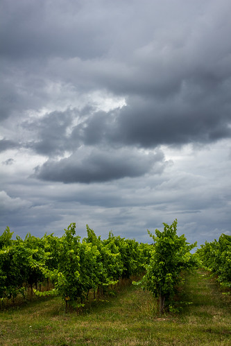 france clouds day cloudy vineyards nubes nuages francia saintefoylagrande