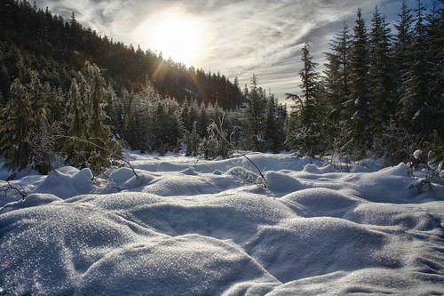 winter canada snowshoe whistler recreation wilderness