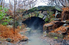 Central Park-Huddlestone Arch, 01.11.14