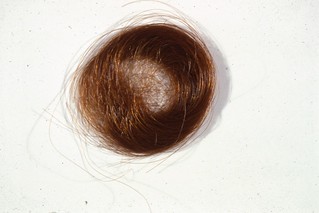 Emily Dickinson's Hair