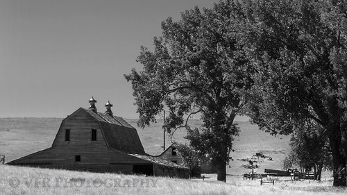 ranch trees bw tree classic abandoned monochrome barn rural countryside blackwhite farm country farming barns northdakota nd farms agriculture idle derelict agricultural ranching watfordcity greatplains ranches northernplains mckenziecounty peacegardenstate