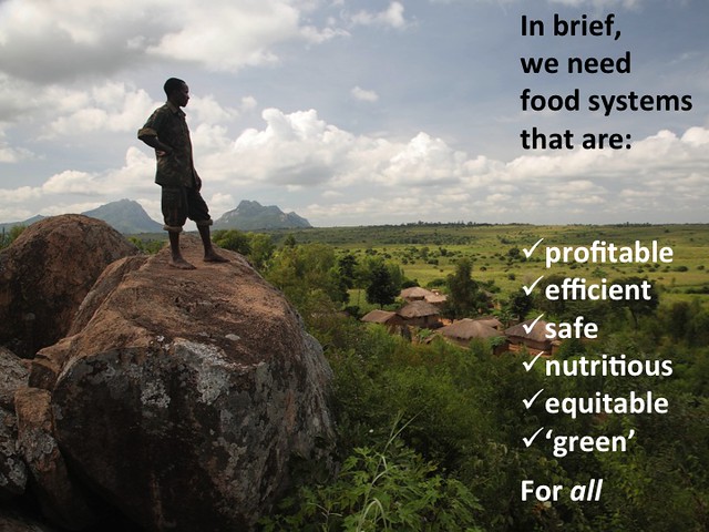 Feeding the World in 2050: Slide 9