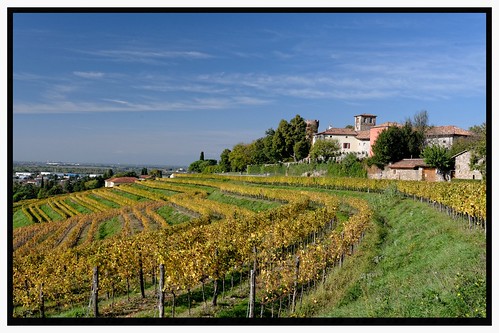 italy house castle italia country vineyards uva autunno castello vigne friuli udine vigna vigneti collio buttrio nikond7100
