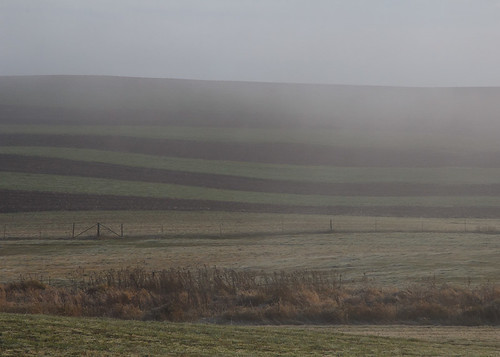 morning mist tree field fog wisconsin rural canon landscape landscapes haze frost farm hills fields lone subjects eauclaire 60d