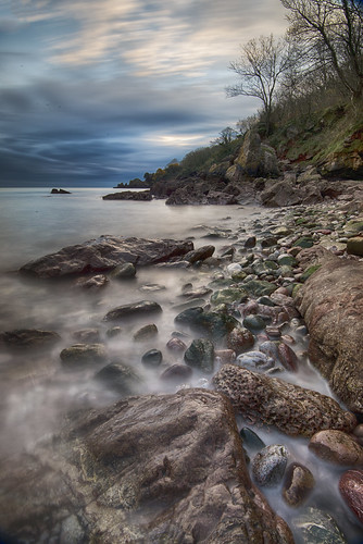 trees sea beach water misty clouds rocks tide shoreline blurred pebbles shore headland