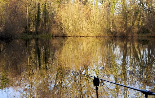 trees light water reflections rod angling