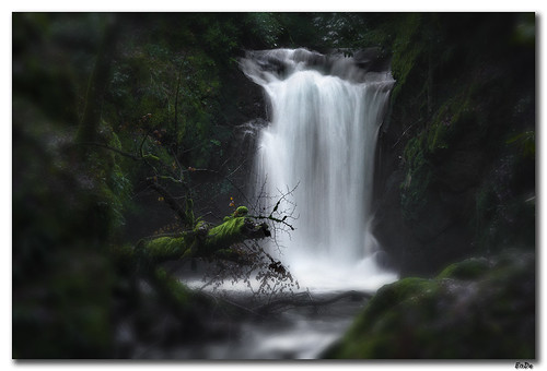 water creek forest waterfall wasser wasserfall bach badenbaden wald ennodernov geroldsauerwasserfall