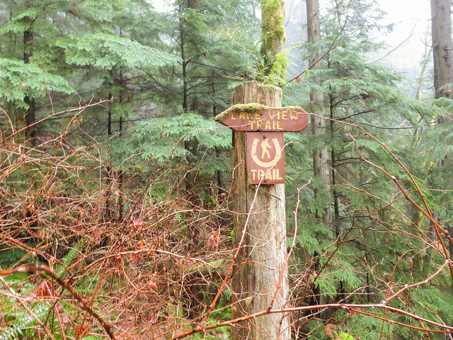 Lakeview Trail sign