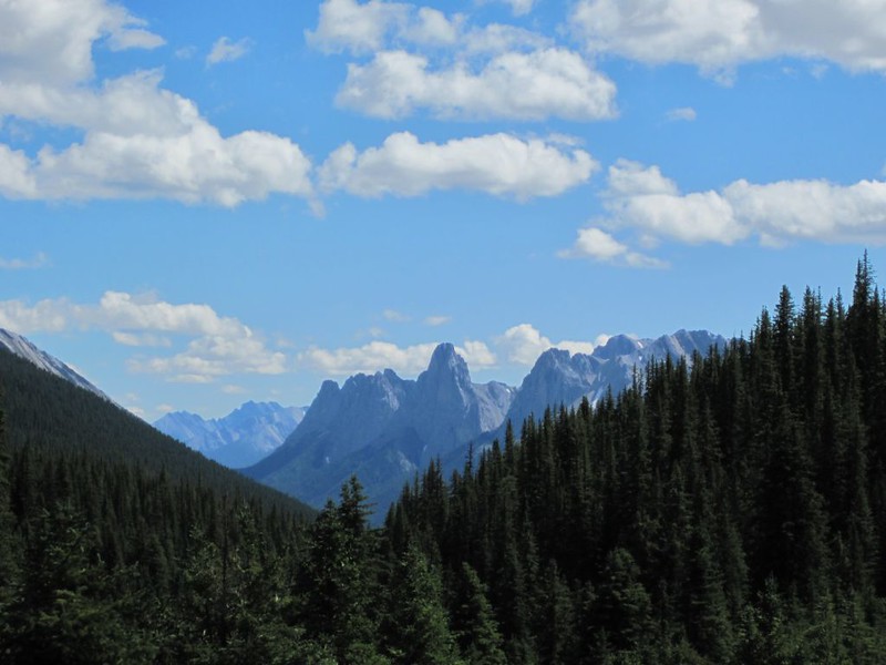 Mount Lewis and the Sawback Range from the upper Forty Mile Creek Trail