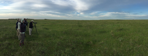 landscape us scenery unitedstates birding northdakota fields grassland habitat kiddercounty