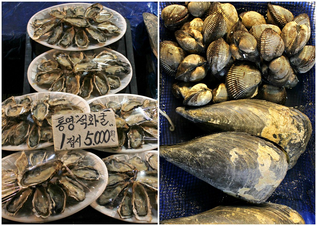 noryangjin-fish-market-shellfish