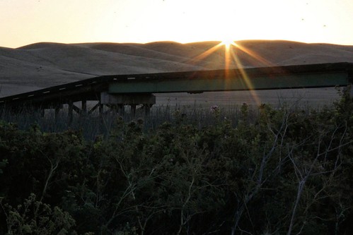 northerncalifornia sunrise dawn solanocounty suisunmarsh joyceisland