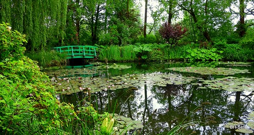 Claude Monet Garden, Giverny, France