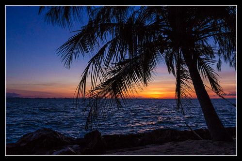 sea costa tree contraluz thailand island atardecer coast mar tailandia palm ko 7d verano kohphangan palmera isla phangan