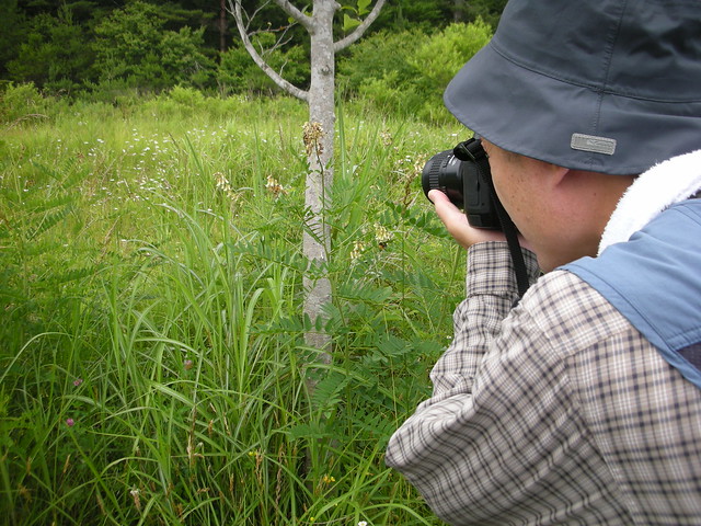 マメ科の植物クララの写真を撮る和田先生．覚え方は「くらくらクララ」だそう．