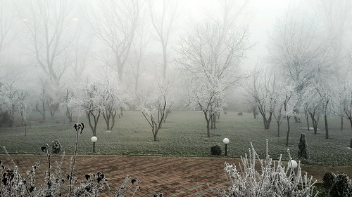 winter cold ice fog freezing kosova kosovo prishtina flickrandroidapp:filter=none