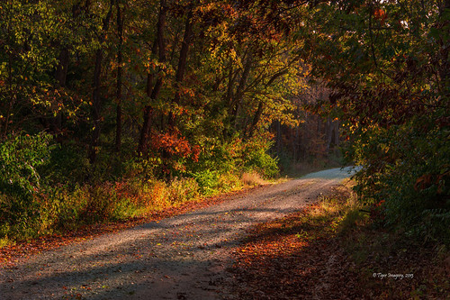 road autumn light sunlight fall landscape illinois nikon fallcolors autumncolors nationalgeographic burtonil nikond800e burtonillinois