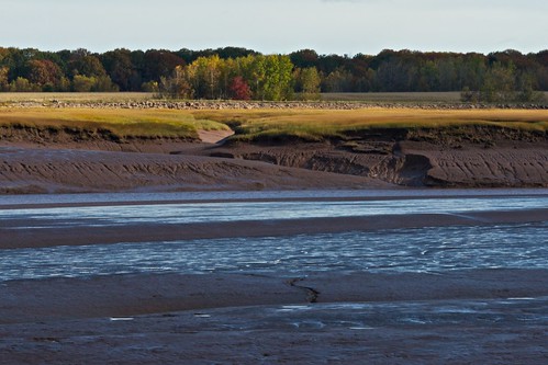 ocean canada nature water landscape scenery novascotia mud tide bayoffundy fundy mudflat hortonville hortonlanding
