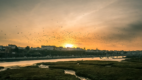 africa city sunset sky copyright nature birds river landscape lumix flock panasonic morocco maroc paysage 風景 rabat photographe 14mm salé bouregreg gx1 14mmf25 aminefassi aminefassicom