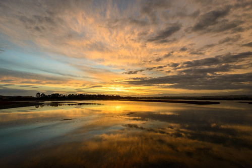 light sunset newzealand sky reflection clouds mirror pond day cloudy dusk tide estuary pandora napier hawkesbay ahuriri