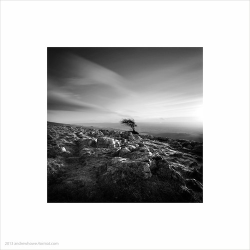 uk longexposure trees sky blackandwhite tree square landscape mono northyorkshire ingleton twistleton twistletonscar